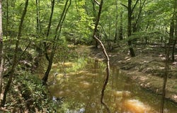 0 Carter Road, Macon, MS 39341
