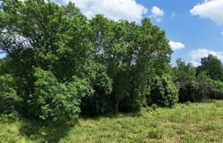 9 CR 2770, Honey Grove, TX 75446