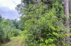 FM 1475, Lufkin, TX 75901