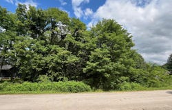 Lot 16 Elm Loop, Hustonville, KY 40437