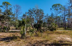 116 NE First Ave, Steinhatchee, FL 32359