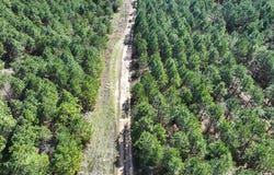 6 United Gas Rd 1, Rodessa, LA 71069