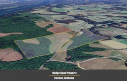 14 Acres County Road 62, Section, AL 35771