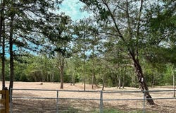 1800 Big Berry Road, Somerville, TX 77879