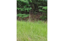 Barnes mill Road, Hamilton, GA 31811