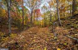 LUCAS HOLLOW RD, STANLEY, VA 22851