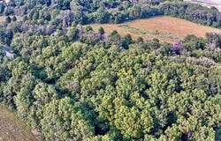 16280 213Th Avenue, Centerville, IA 52544