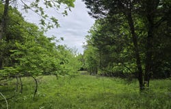 Tr 3 BOATMANS MOUNTAIN-TR-3, Morristown, TN 37814