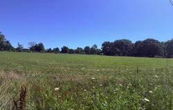 N Maple Street, Dadeville, MO 65635