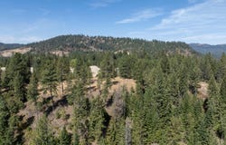 Two River lot: 2, Priest River, ID 83856