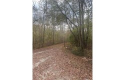 9905 BRAZELL Road, Palmetto, GA 30268