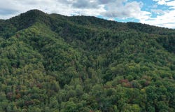 DAVIS CREEK LN, LOVINGSTON, VA 22949