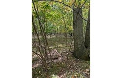 10082 Sante Fe Trail, Canadian Lakes, MI 49346