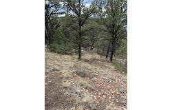 13th Trail, Cotopaxi, CO 81223