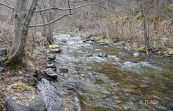 4990 Indian Creek Rd, Douglas City, CA 96024