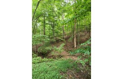 Lot 133 Shiloh Court, Ellijay, GA 30540