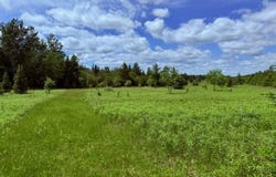 STATE HWY 55, WHITE LAKE, WI 54491