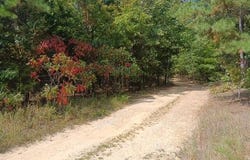 Whitacre Run, Eminence, MO 65466