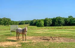 3749 County Road 107, Whitesboro, TX 76273