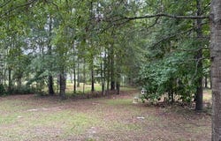 6260 Troupville, Quitman, GA 31643