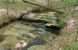 64.88 Ac Purcell Road, Reidsville, NC 27320