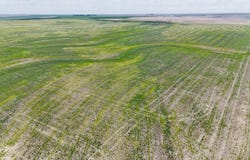 Co. Rd. 14 and Co. Rd. H, Saint Francis, KS 67756