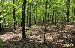 0 County Road 224, Alton, MO 65606