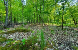182nd Ave, McGregor, MN 55760