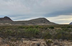 495 War Zone Rd, Terlingua, TX 79852