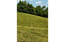 0 Buckettown Road, Richmond, KY 40475