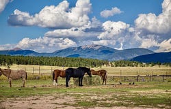 27502 US Highway 64, Angel Fire, NM 87710