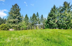 2244 Lasater Blvd, Eugene, OR 97405