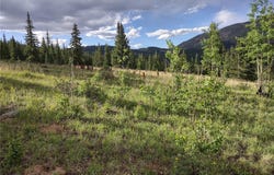 0 Snow Cap Peaks Road, Alma, CO 80402