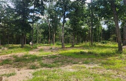 18632 Farm Road 2300, Eagle Rock, MO 65641