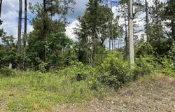 xx HWY 369, Amity, AR 71921