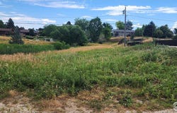7834 S Everett St, Littleton, CO 80128