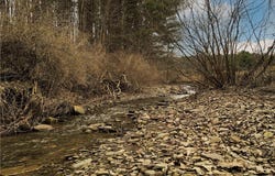 1975 State Highway 8, Mount Upton, NY 13809