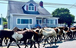 3340 MAIN ST, CHINCOTEAGUE, VA 23336