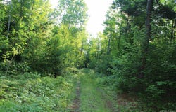 on Alder Cr Road, Marquette, MI 49855