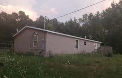 905 S Coleman Road, Shepherd, MI 48883