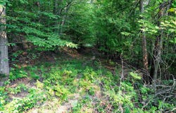 0000 Grandview Road, Traverse City, MI 49684