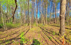 5091 Donna Marie Court, Walkertown, NC 27051