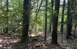 Center Road, Lacona, NY 13083