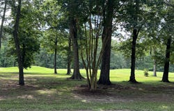 114 Green Court E, Hertford, NC 27944
