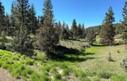 1082 Paper Birch Way, Klamath Falls, OR 97601