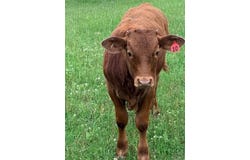 7846 County Road 360, Buffalo, TX 75831