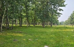 Tbd State 87 SW, Backus, MN 56435