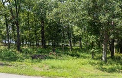 1040 S Fork Lane, Tipton, MO 65081