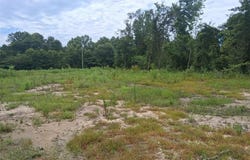 Old Highway 43, Mount Vernon, AL 36560