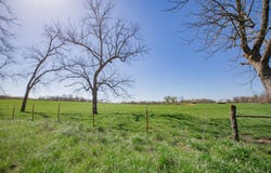 000 E 1000 Road, Stockton, MO 65785
